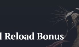 The Hunt for the Wildest Reload Bonus Begins at 21 Casino